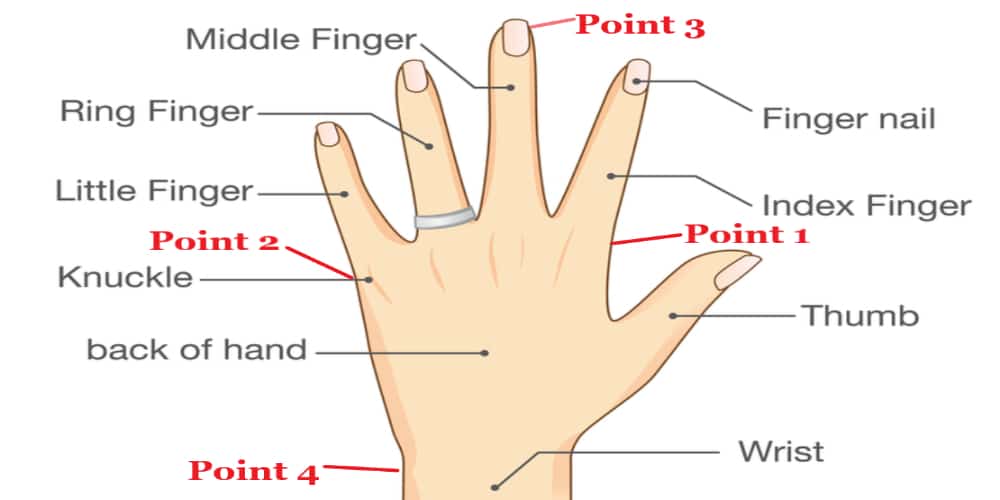 Hand outline with four labeled points: Point 1, located at the base of the index finger; Point 2, located at the base of the pinky finger; Point 3, located at the widest point of the hand; and Point 4, located at the wrist.